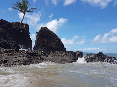 brazil nudists|The best naturist beach in Brazil .